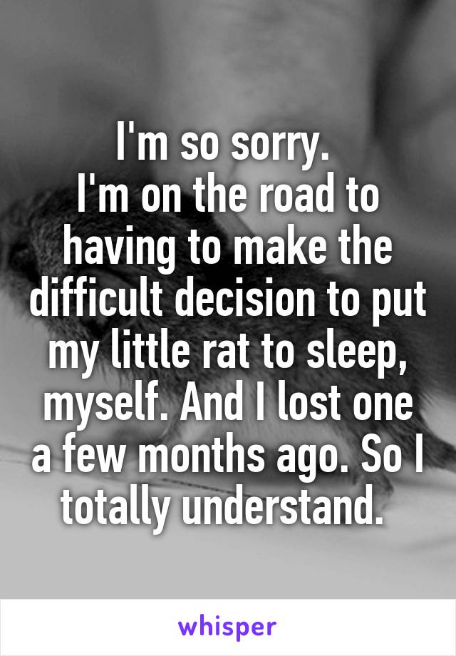 I'm so sorry. 
I'm on the road to having to make the difficult decision to put my little rat to sleep, myself. And I lost one a few months ago. So I totally understand. 