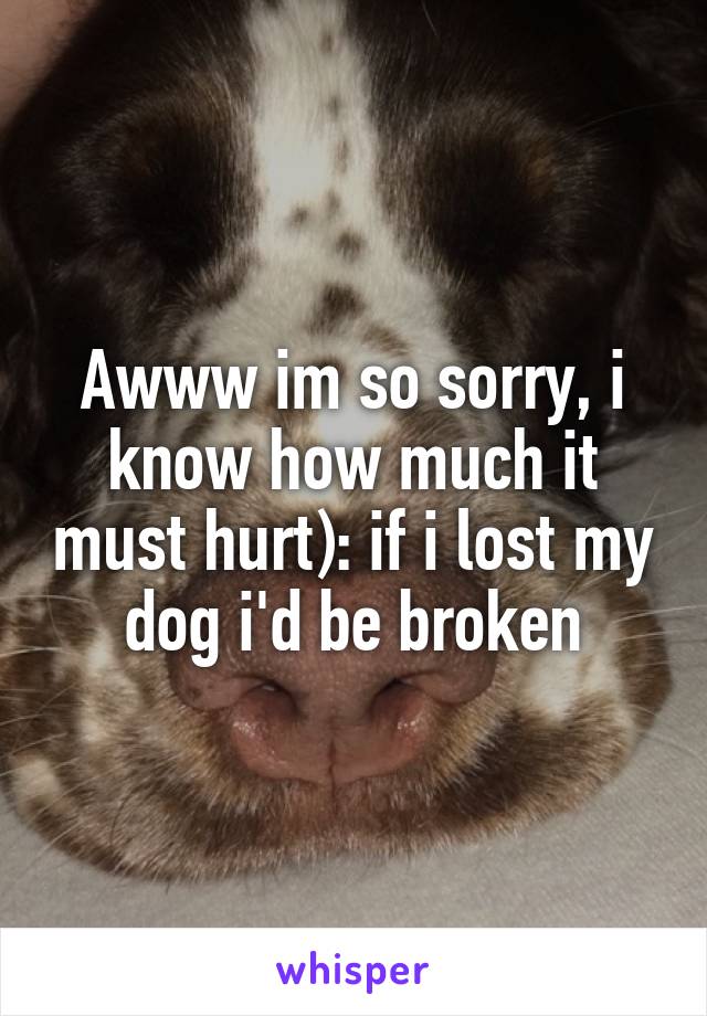 Awww im so sorry, i know how much it must hurt): if i lost my dog i'd be broken