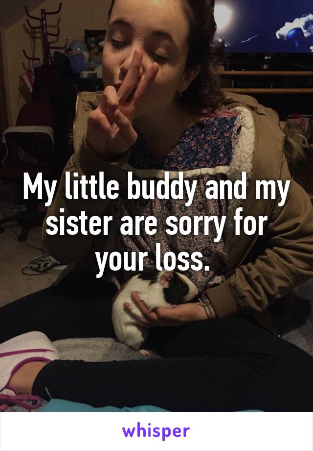 My little buddy and my sister are sorry for your loss. 