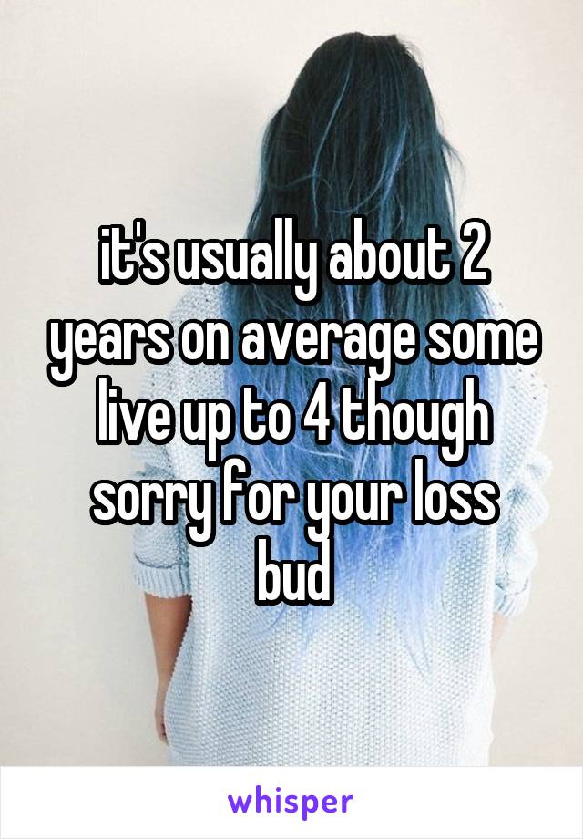 it's usually about 2 years on average some live up to 4 though
sorry for your loss bud