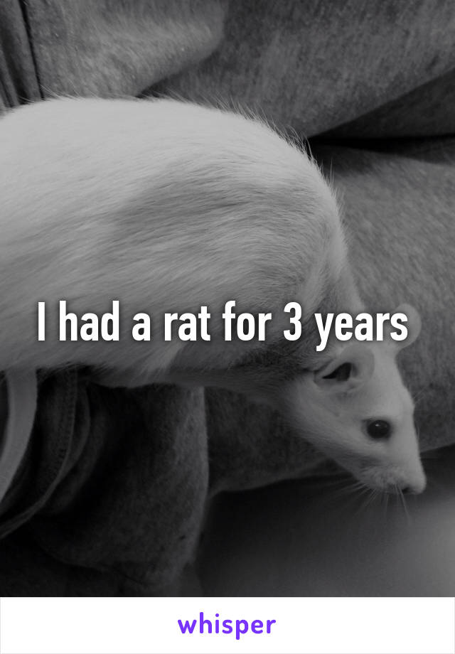 I had a rat for 3 years 