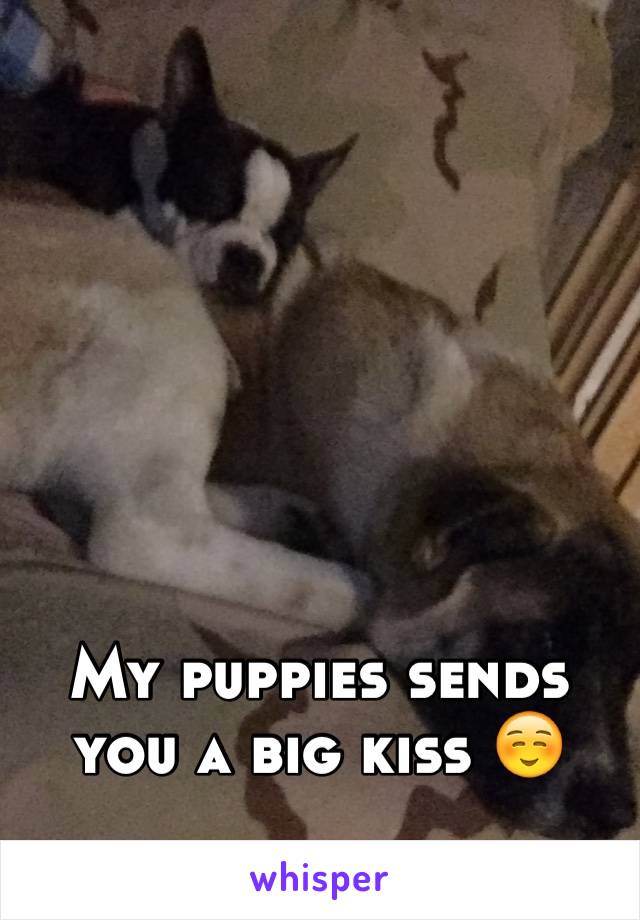 My puppies sends you a big kiss ☺️