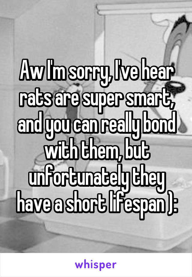 Aw I'm sorry, I've hear rats are super smart, and you can really bond with them, but unfortunately they have a short lifespan ):