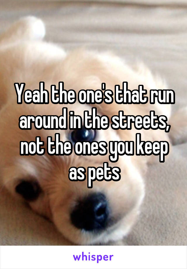 Yeah the one's that run around in the streets, not the ones you keep as pets