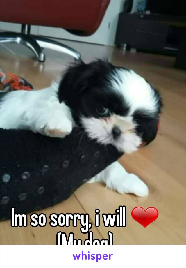 Im so sorry, i will ❤
(My dog)