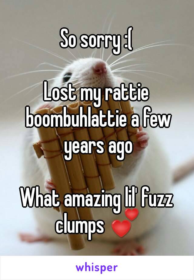 So sorry :(

Lost my rattie boombuhlattie a few years ago

What amazing lil' fuzz clumps 💕