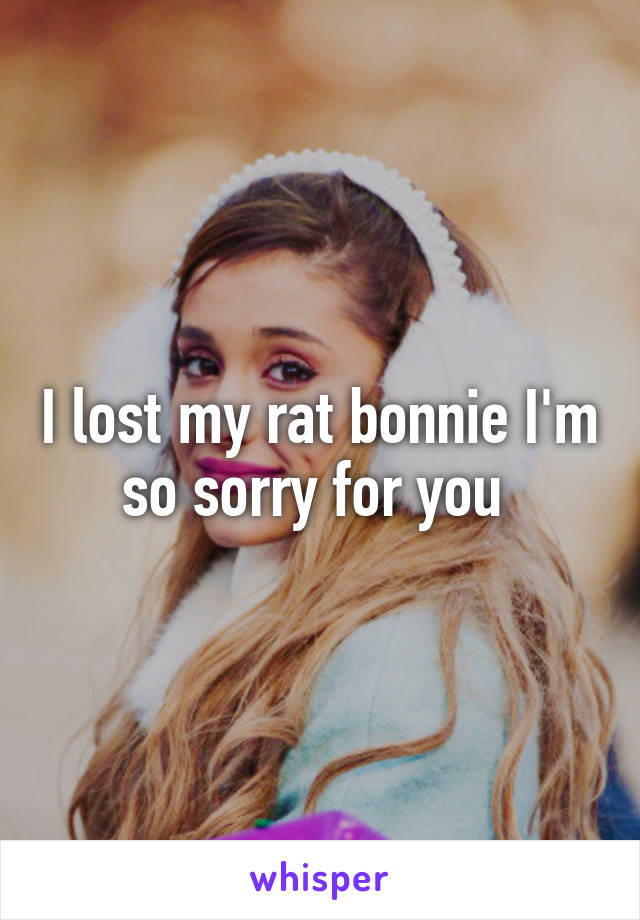 I lost my rat bonnie I'm so sorry for you 