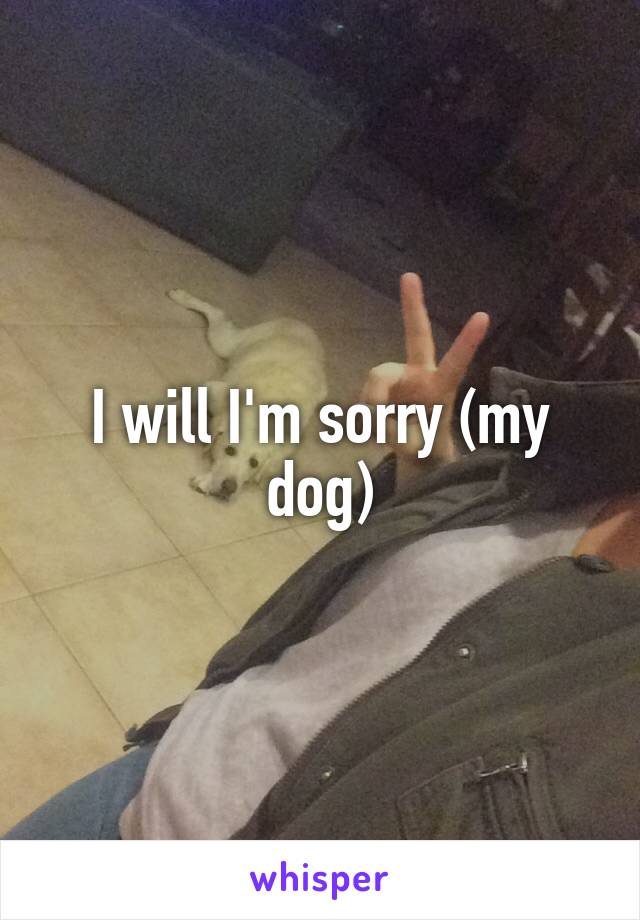 I will I'm sorry (my dog)