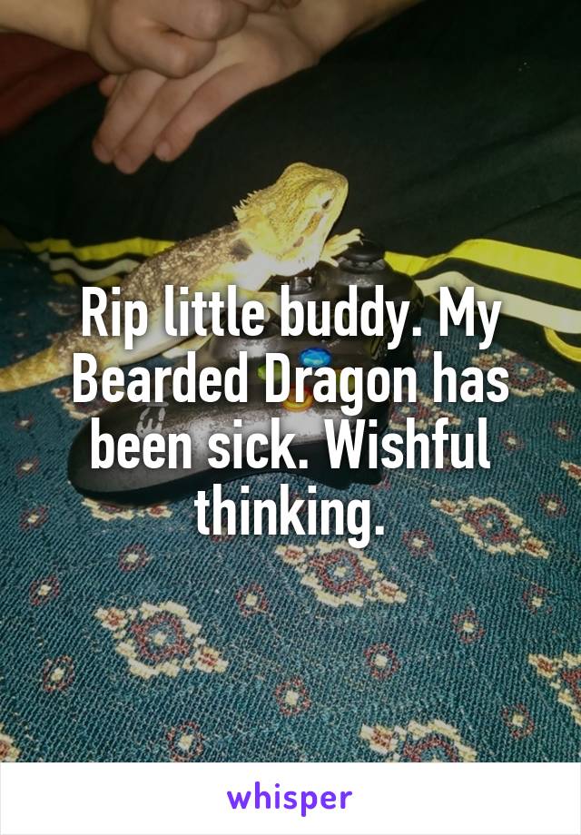 Rip little buddy. My Bearded Dragon has been sick. Wishful thinking.