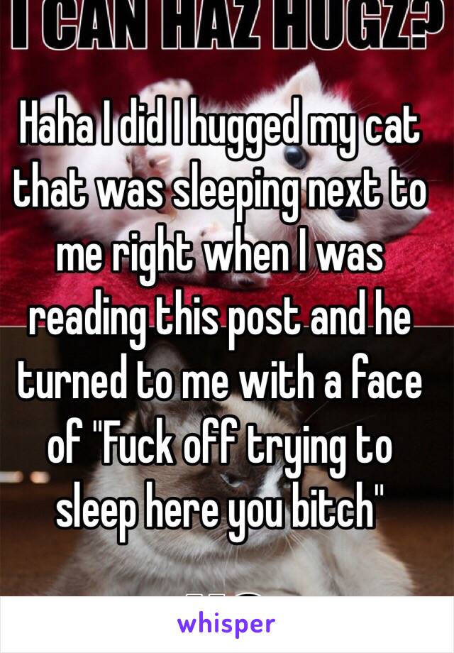 Haha I did I hugged my cat that was sleeping next to me right when I was reading this post and he turned to me with a face of "Fuck off trying to sleep here you bitch"
