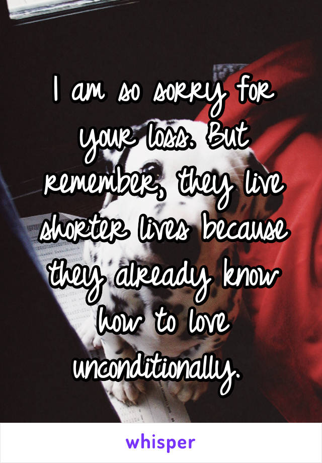 I am so sorry for your loss. But remember, they live shorter lives because they already know how to love unconditionally. 