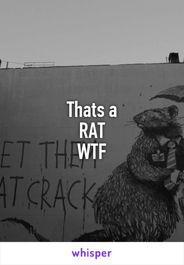 Thats a
RAT
WTF