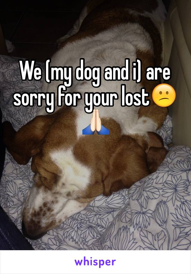 We (my dog and i) are sorry for your lost😕🙏🏻