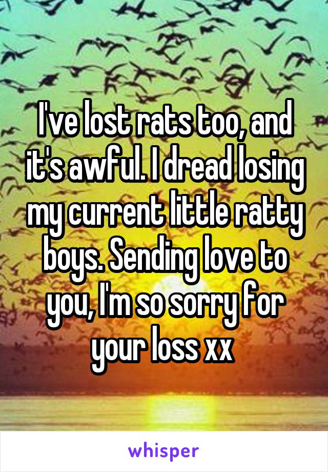 I've lost rats too, and it's awful. I dread losing my current little ratty boys. Sending love to you, I'm so sorry for your loss xx 