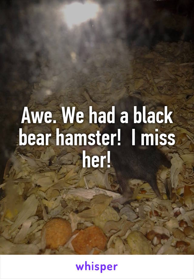 Awe. We had a black bear hamster!  I miss her!