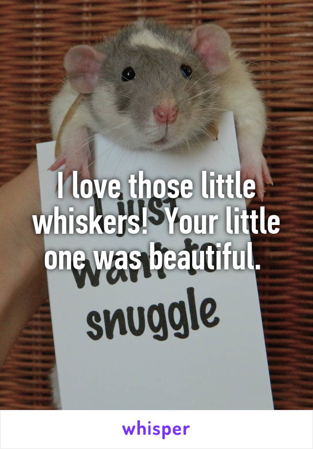 I love those little whiskers!  Your little one was beautiful. 