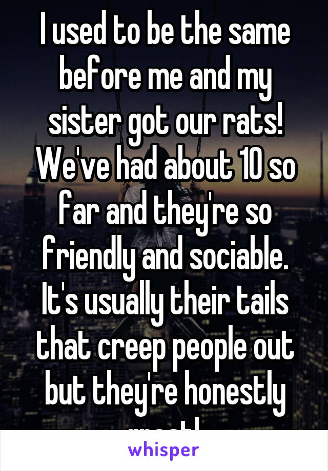 I used to be the same before me and my sister got our rats! We've had about 10 so far and they're so friendly and sociable. It's usually their tails that creep people out but they're honestly great! 