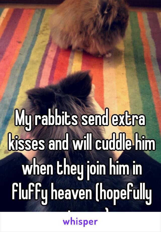 My rabbits send extra kisses and will cuddle him when they join him in fluffy heaven (hopefully not soon)