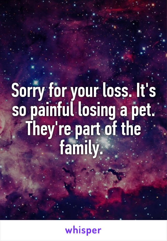 Sorry for your loss. It's so painful losing a pet. They're part of the family. 