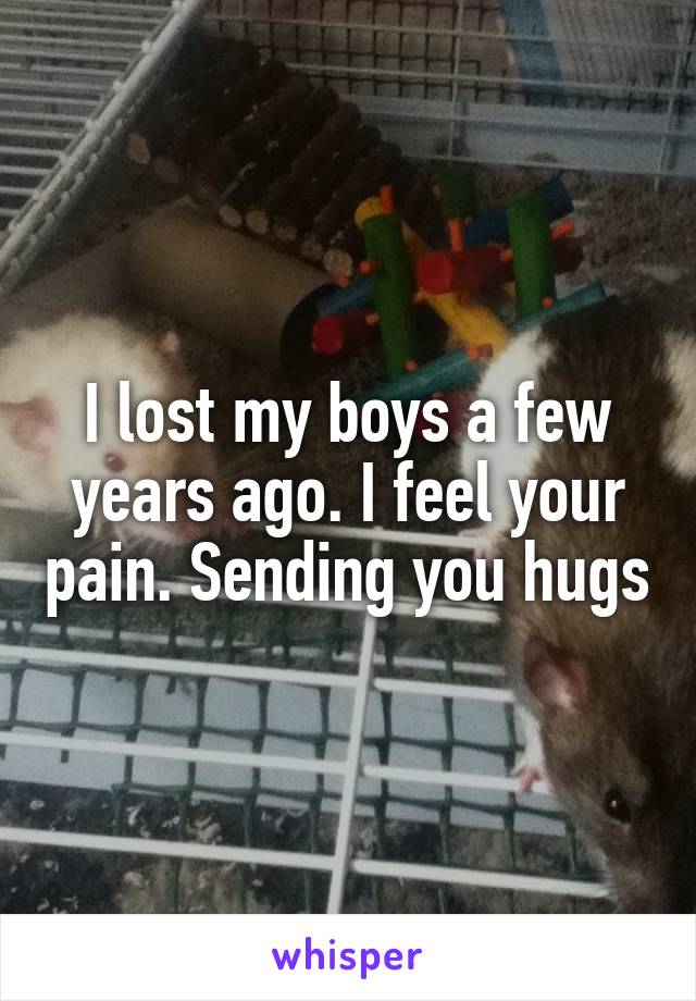 I lost my boys a few years ago. I feel your pain. Sending you hugs