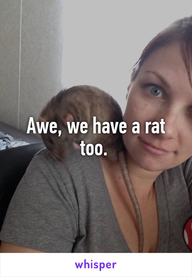 Awe, we have a rat too. 