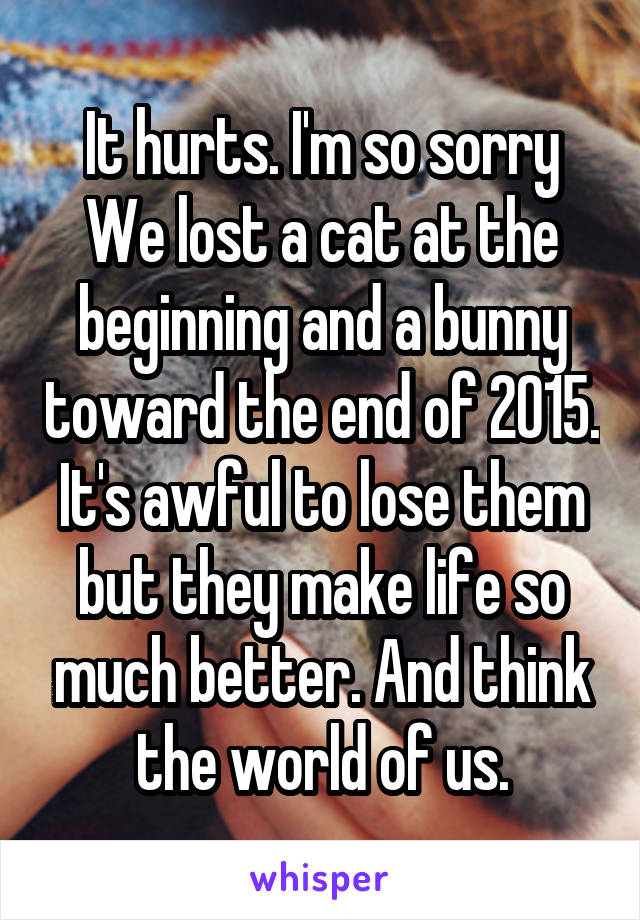 It hurts. I'm so sorry
We lost a cat at the beginning and a bunny toward the end of 2015. It's awful to lose them but they make life so much better. And think the world of us.