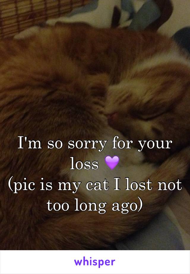 I'm so sorry for your loss 💜
(pic is my cat I lost not too long ago)