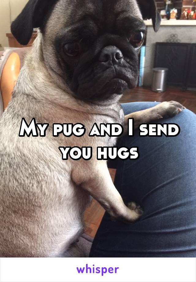 My pug and I send you hugs