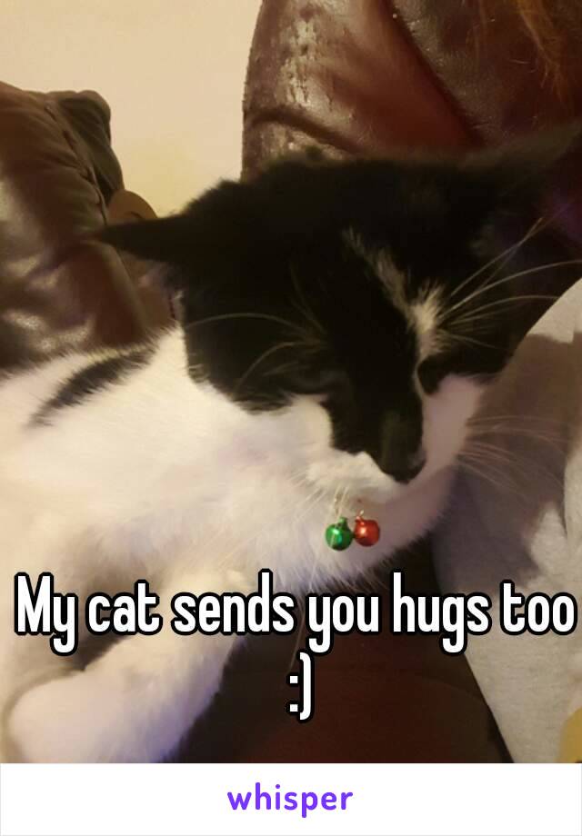 My cat sends you hugs too :)