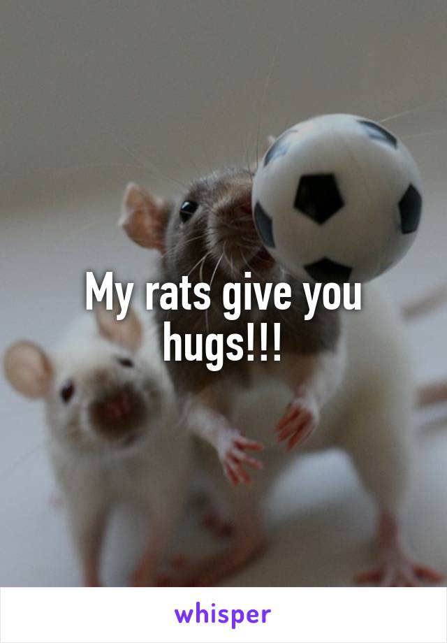 My rats give you hugs!!!