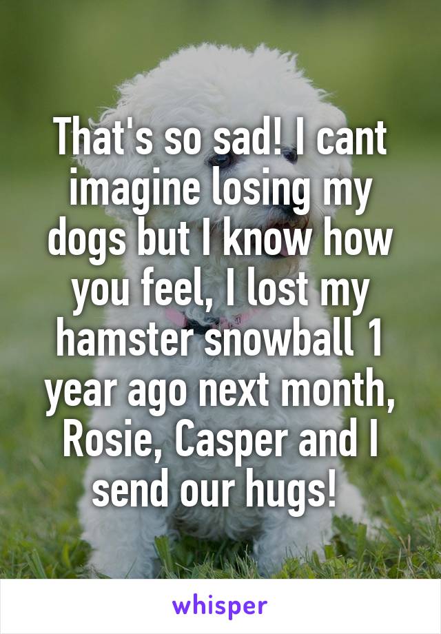 That's so sad! I cant imagine losing my dogs but I know how you feel, I lost my hamster snowball 1 year ago next month, Rosie, Casper and I send our hugs! 