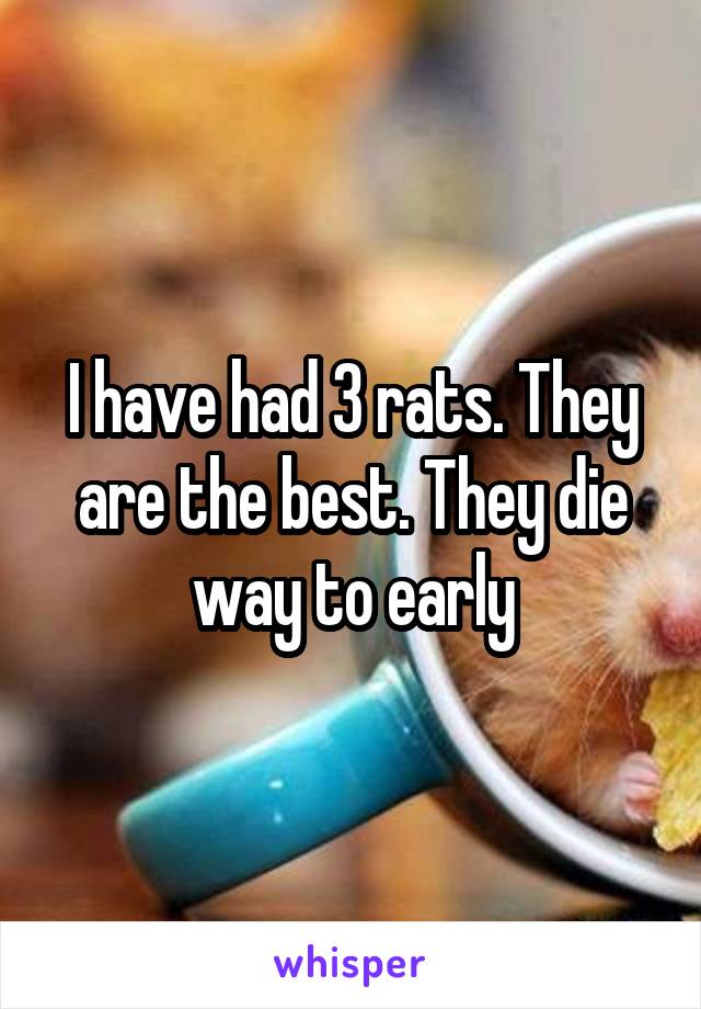 I have had 3 rats. They are the best. They die way to early