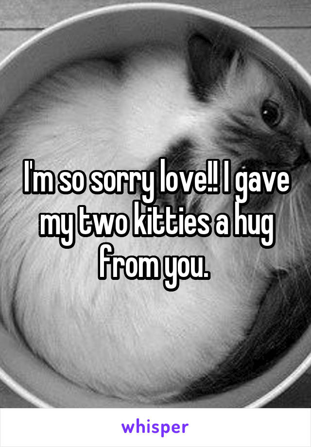 I'm so sorry love!! I gave my two kitties a hug from you. 