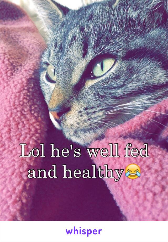 Lol he's well fed and healthy😂