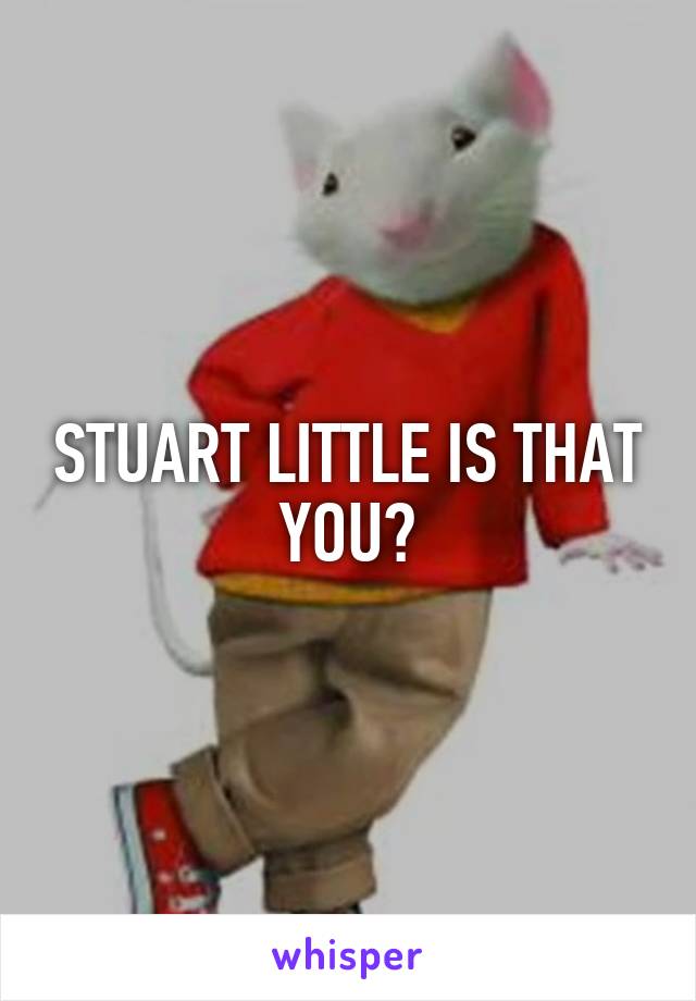 STUART LITTLE IS THAT YOU?