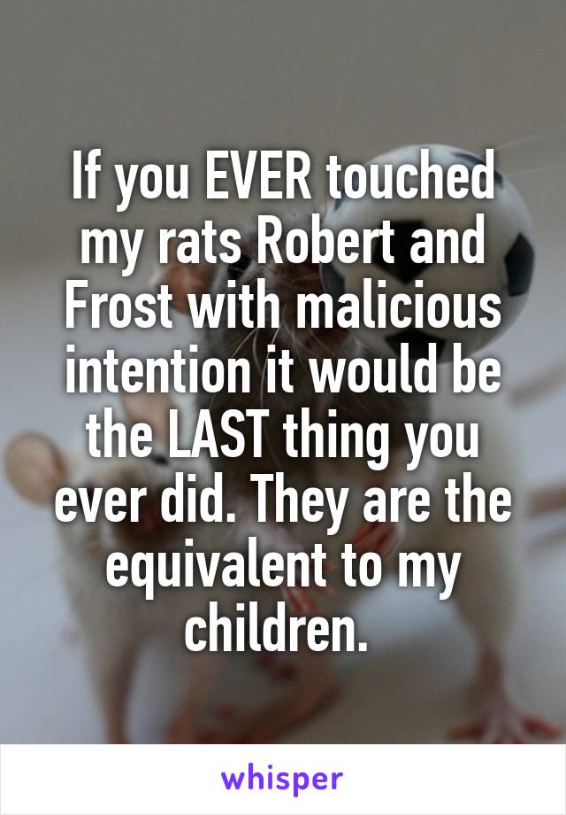 If you EVER touched my rats Robert and Frost with malicious intention it would be the LAST thing you ever did. They are the equivalent to my children. 