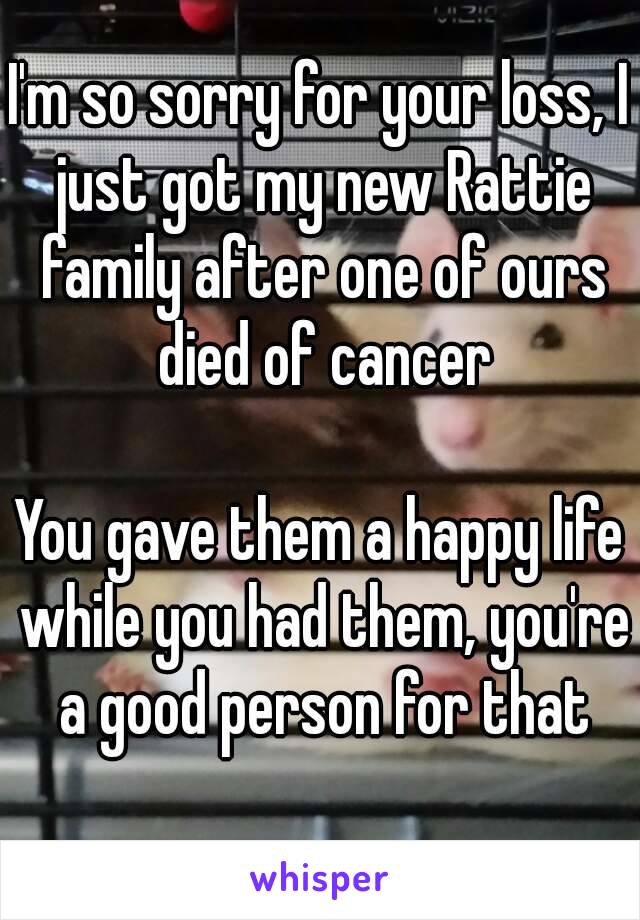 I'm so sorry for your loss, I just got my new Rattie family after one of ours died of cancer

You gave them a happy life while you had them, you're a good person for that