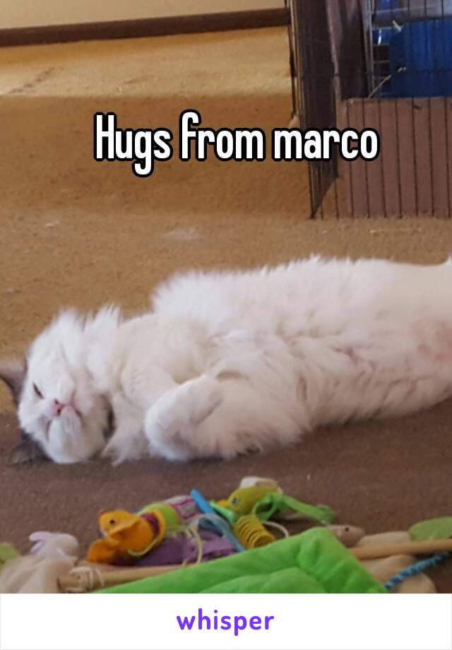 Hugs from marco 