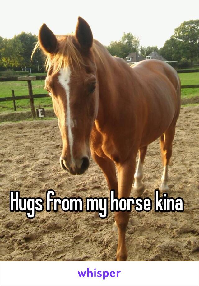 Hugs from my horse kina 