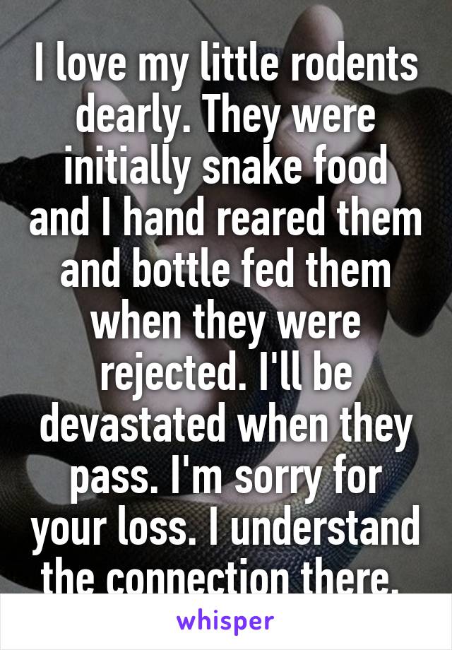 I love my little rodents dearly. They were initially snake food and I hand reared them and bottle fed them when they were rejected. I'll be devastated when they pass. I'm sorry for your loss. I understand the connection there. 