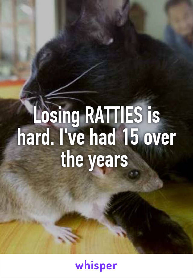 Losing RATTIES is hard. I've had 15 over the years 