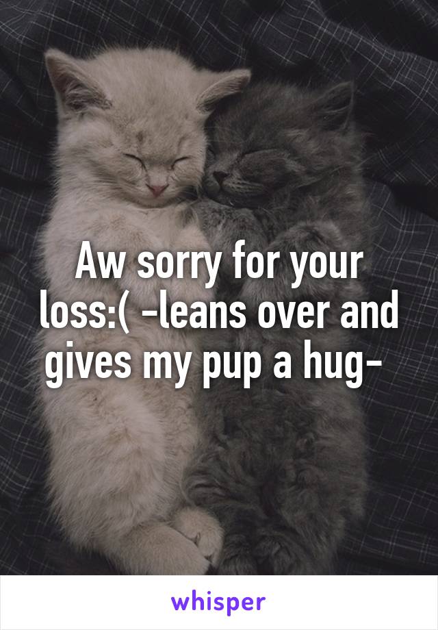 Aw sorry for your loss:( -leans over and gives my pup a hug- 