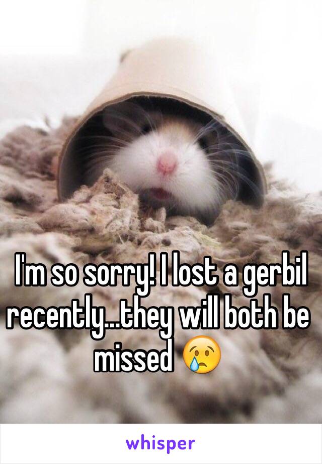  I'm so sorry! I lost a gerbil recently...they will both be missed 😢