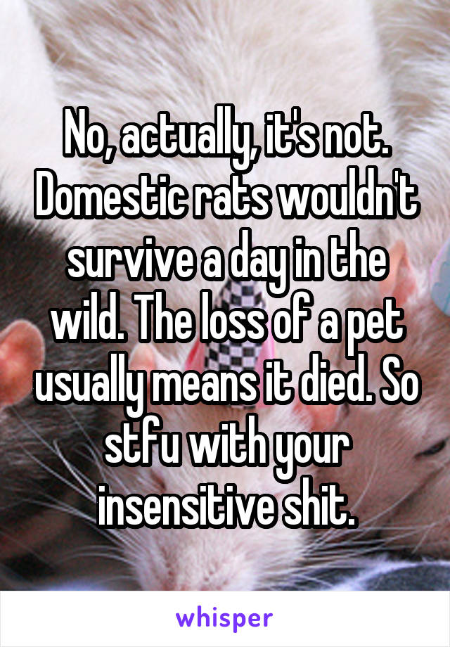 No, actually, it's not. Domestic rats wouldn't survive a day in the wild. The loss of a pet usually means it died. So stfu with your insensitive shit.