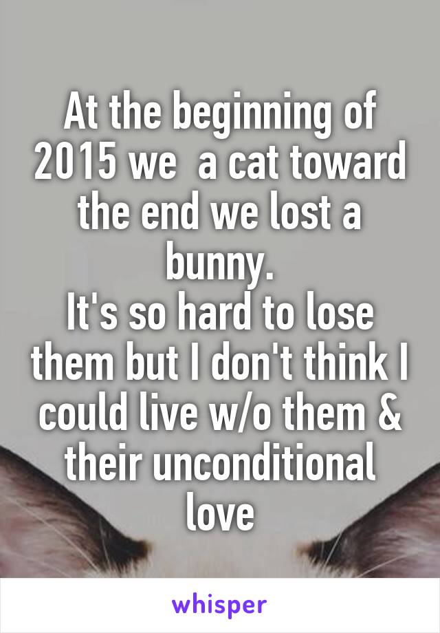 At the beginning of 2015 we  a cat toward the end we lost a bunny.
It's so hard to lose them but I don't think I could live w/o them & their unconditional love