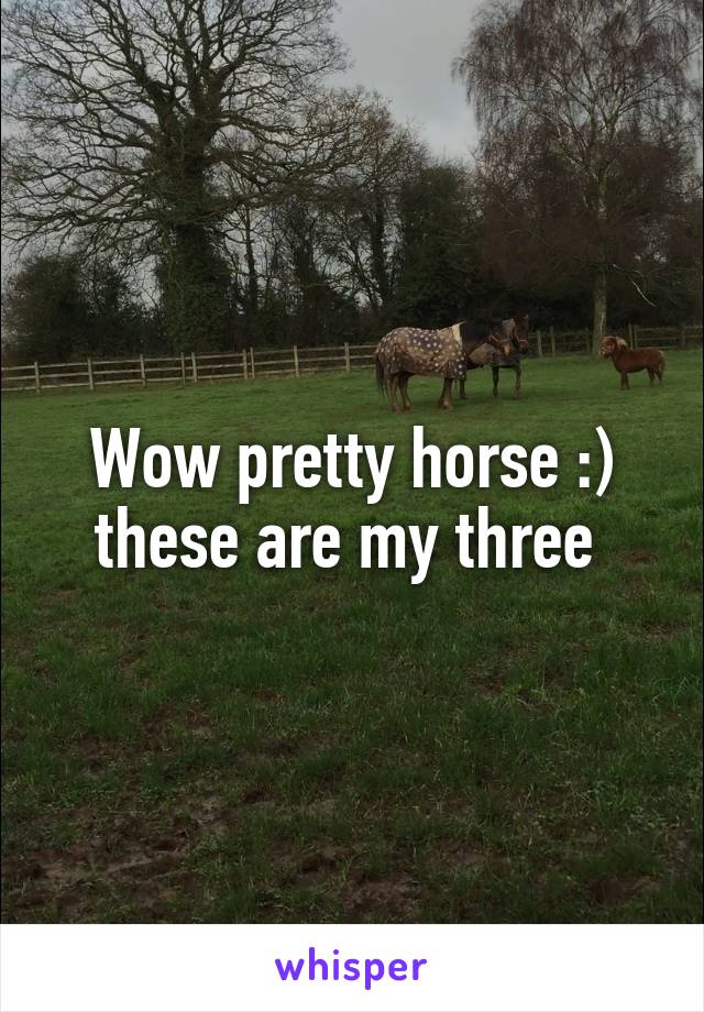 Wow pretty horse :) these are my three 