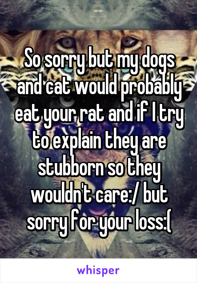 So sorry but my dogs and cat would probably eat your rat and if I try to explain they are stubborn so they wouldn't care:/ but sorry for your loss:(