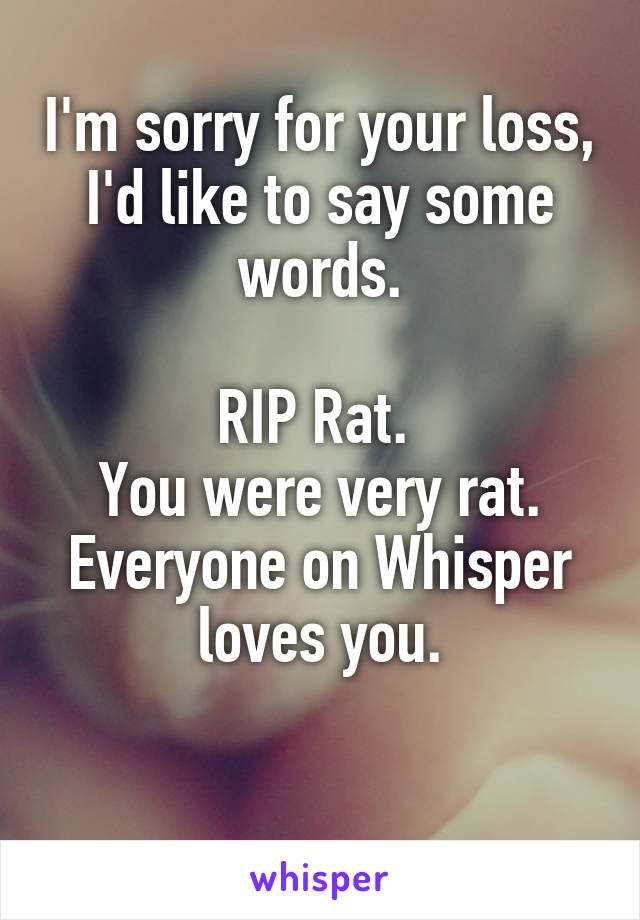 I'm sorry for your loss, I'd like to say some words.

RIP Rat. 
You were very rat.
Everyone on Whisper loves you.

