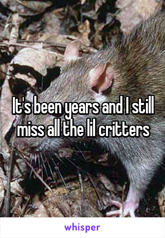 It's been years and I still miss all the lil critters