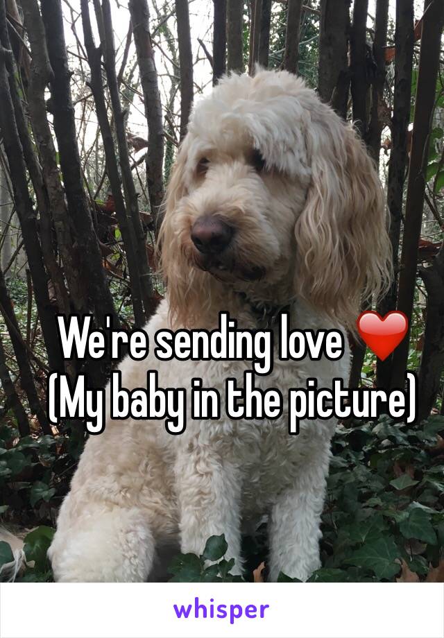 We're sending love ❤️
(My baby in the picture)